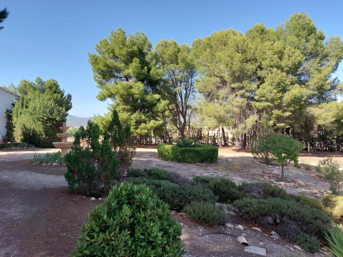 Casa Rural "La Villa Del Pistacho" Archivel エクステリア 写真