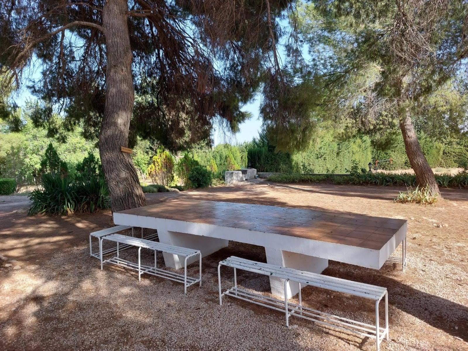 Casa Rural "La Villa Del Pistacho" Archivel エクステリア 写真